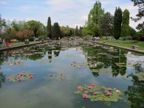 ... piante e giardini acquatici al  Parco di Sigurtà ...