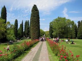 ... il viale delle rose del Parco Giardino di Sigurtà ... 