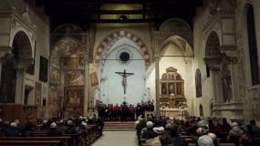 ... le belle decorazioni interne della chiesa di Sant´Andrea di Vittorio Veneto ...