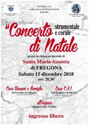 ... il manifesto del concerto di Natale 2018 a Fregona ... 