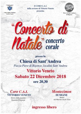 ... il manifesto del Concerto di Natale 2018 presso la chiesa di Sant´Andrea di Vittorio Veneto ... 