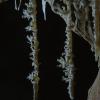 stalattiti con cristalli di calcite
