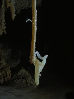 stalattite eccentrica